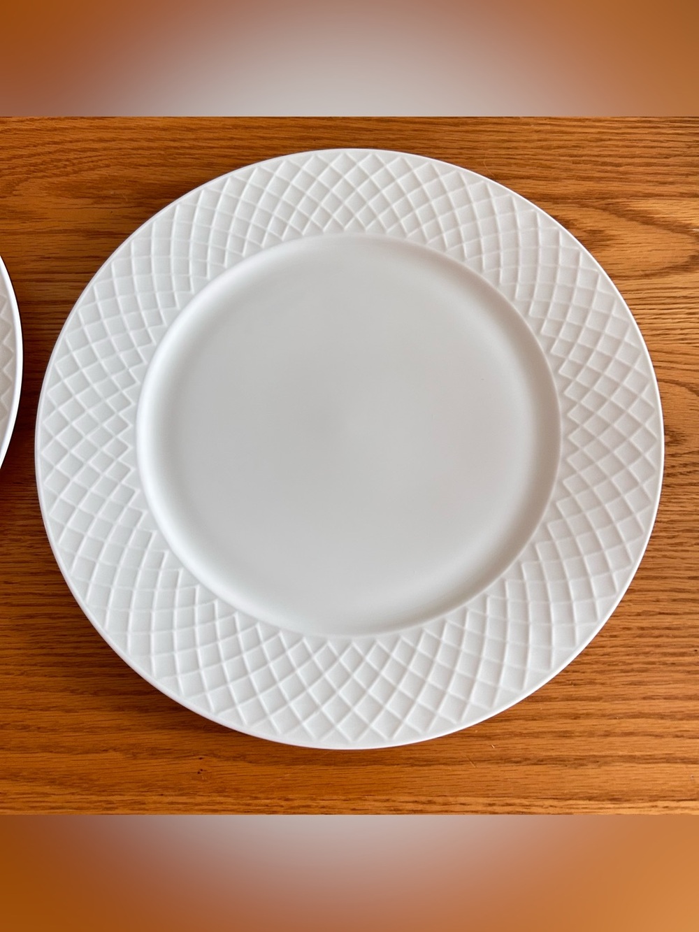 Mikasa Trellis 11” White Dinner Plate set of 2